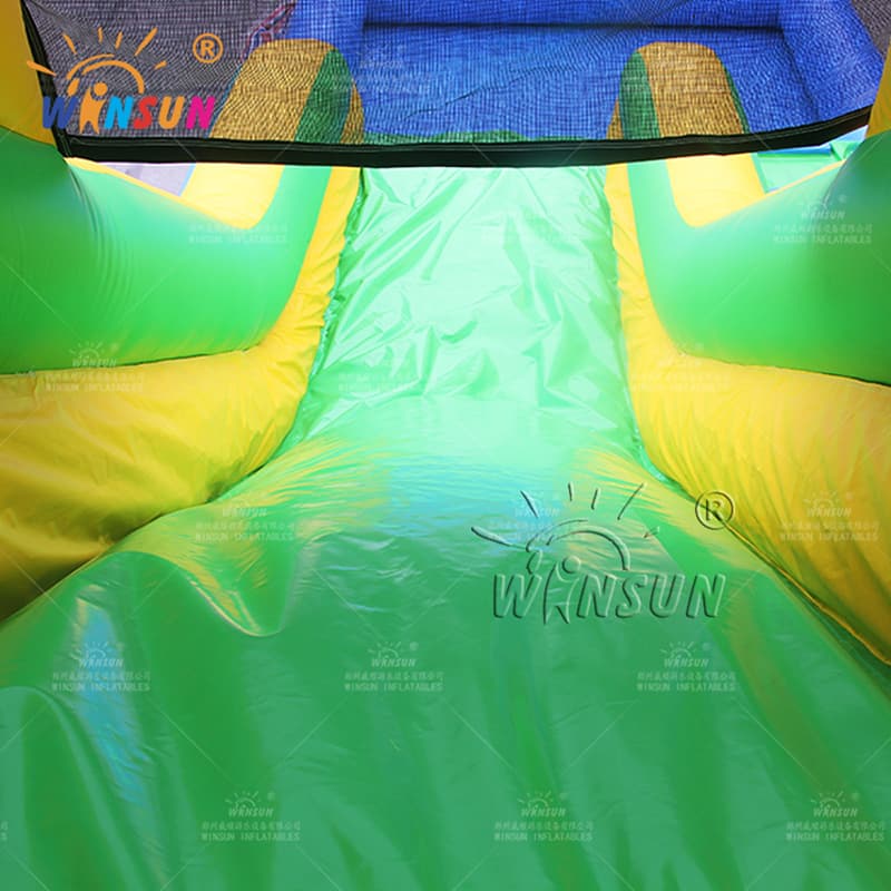 Tobogán acuático inflable personalizado con tema de la Patrulla Canina de la piscina