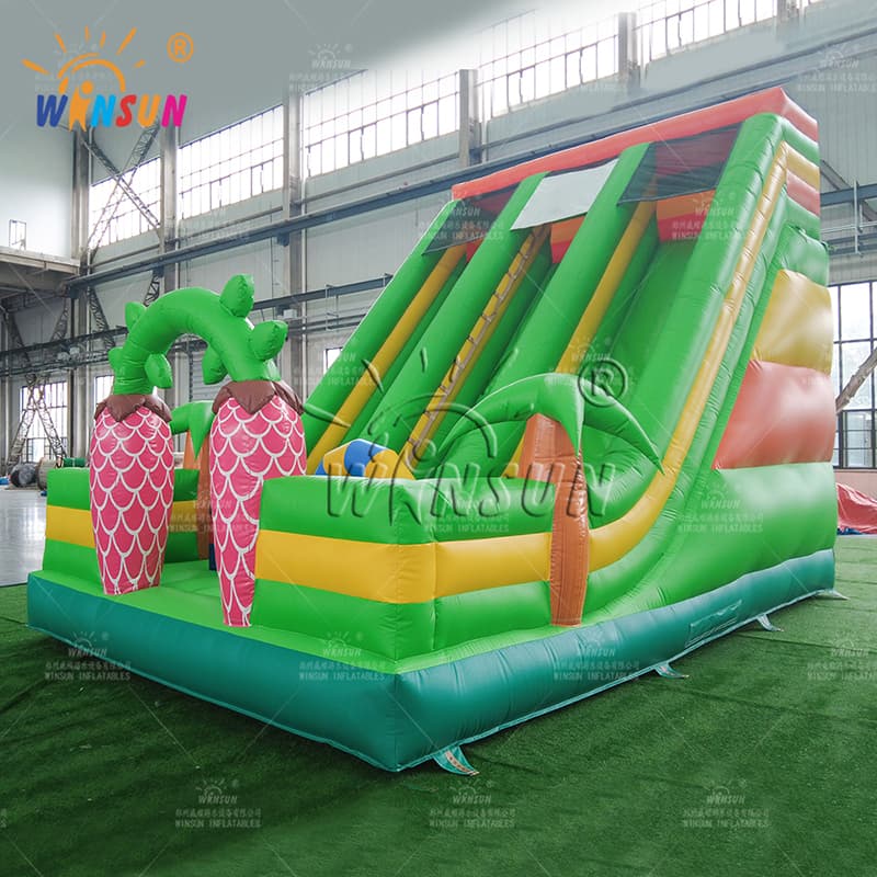 Tobogán seco inflable comercial personalizado